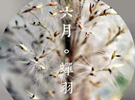 中国和日本的“农历”大不同