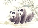 学汉语一定要学些中国文化