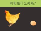盘点表示因果关系的汉语词汇