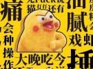 2017年度网络汉语TOP10